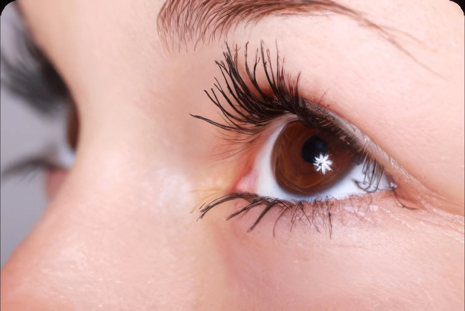trockenes auge und contactlinsen tragen